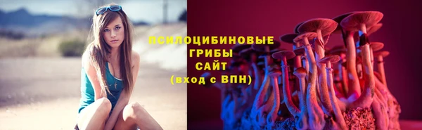 шишки Балахна