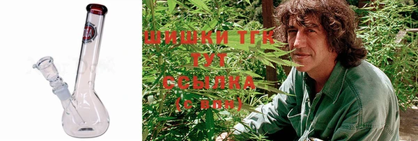 шишки Балахна