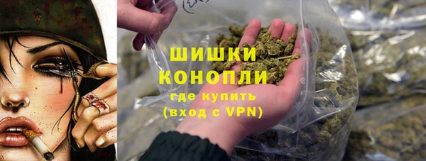 прущие крисы Вяземский