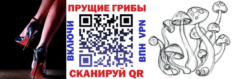 hydra   Чудово  Галлюциногенные грибы мухоморы 